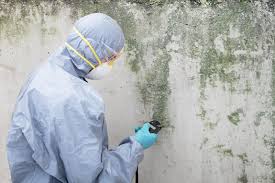 Best Mold Removal for HVAC Installations  in Columbia, KY